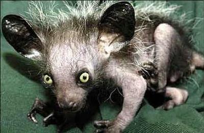 Нажмите на изображение для увеличения
Название: 9.jpg
Просмотров: 242
Размер:	29.2 Кб
ID:	8709