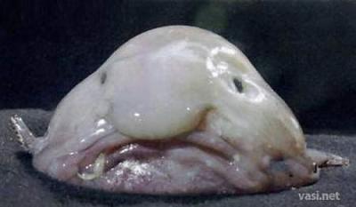 Нажмите на изображение для увеличения
Название: 10.jpg
Просмотров: 227
Размер:	15.3 Кб
ID:	8710