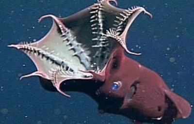 Нажмите на изображение для увеличения
Название: 12.jpg
Просмотров: 231
Размер:	21.6 Кб
ID:	8712