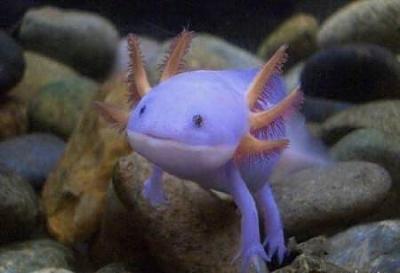 Нажмите на изображение для увеличения
Название: 13.jpg
Просмотров: 230
Размер:	19.1 Кб
ID:	8713