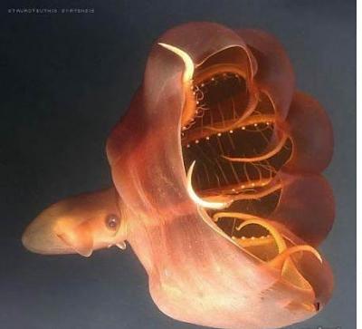 Нажмите на изображение для увеличения
Название: 14.jpg
Просмотров: 226
Размер:	23.1 Кб
ID:	8714