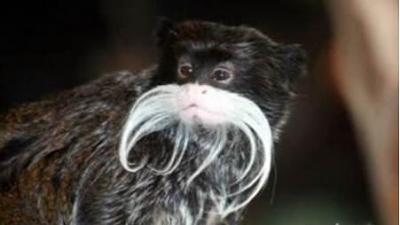 Нажмите на изображение для увеличения
Название: 15.jpg
Просмотров: 222
Размер:	15.6 Кб
ID:	8715