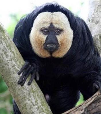 Нажмите на изображение для увеличения
Название: 16.jpg
Просмотров: 236
Размер:	33.3 Кб
ID:	8716