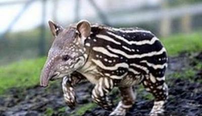 Нажмите на изображение для увеличения
Название: 17.jpg
Просмотров: 245
Размер:	23.0 Кб
ID:	8717