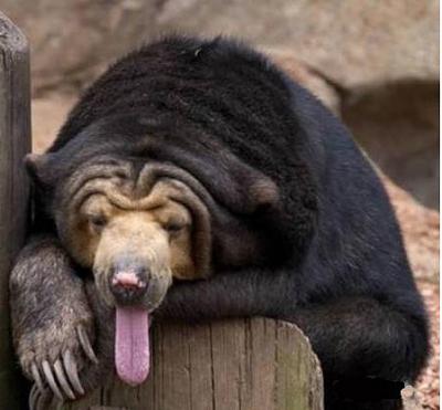 Нажмите на изображение для увеличения
Название: 18.jpg
Просмотров: 211
Размер:	29.6 Кб
ID:	8718