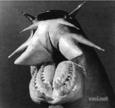 Нажмите на изображение для увеличения
Название: 19.jpg
Просмотров: 233
Размер:	23.6 Кб
ID:	8719