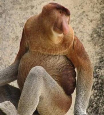 Нажмите на изображение для увеличения
Название: 20.jpg
Просмотров: 238
Размер:	32.4 Кб
ID:	8720