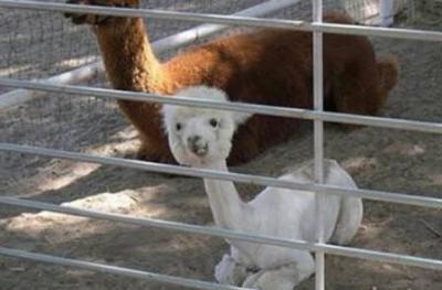 Нажмите на изображение для увеличения
Название: 22.jpg
Просмотров: 240
Размер:	22.5 Кб
ID:	8722