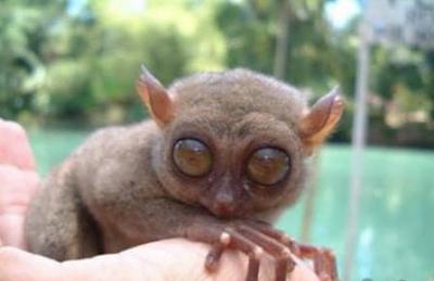 Нажмите на изображение для увеличения
Название: 23.jpg
Просмотров: 236
Размер:	19.8 Кб
ID:	8723