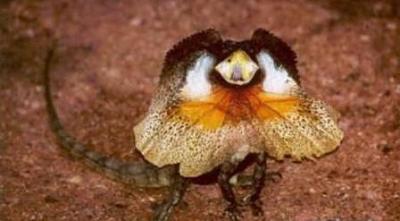 Нажмите на изображение для увеличения
Название: 24.jpg
Просмотров: 250
Размер:	21.3 Кб
ID:	8724