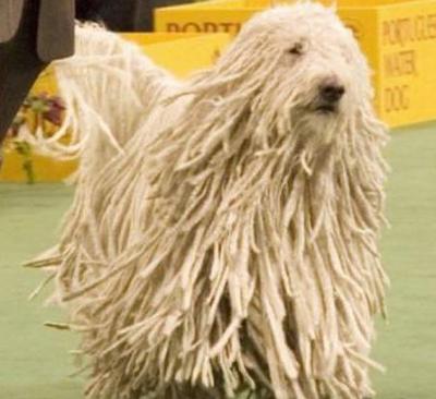 Нажмите на изображение для увеличения
Название: 25.jpg
Просмотров: 239
Размер:	32.8 Кб
ID:	8725