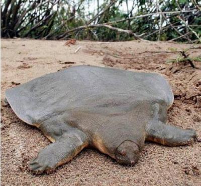 Нажмите на изображение для увеличения
Название: 26.jpg
Просмотров: 232
Размер:	50.8 Кб
ID:	8726