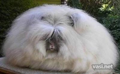 Нажмите на изображение для увеличения
Название: 28.jpg
Просмотров: 224
Размер:	18.6 Кб
ID:	8728