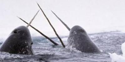 Нажмите на изображение для увеличения
Название: 29.jpg
Просмотров: 240
Размер:	13.5 Кб
ID:	8729