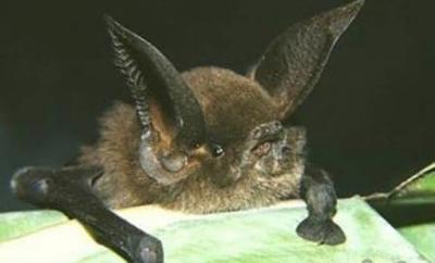 Нажмите на изображение для увеличения
Название: 30.jpg
Просмотров: 228
Размер:	15.9 Кб
ID:	8730