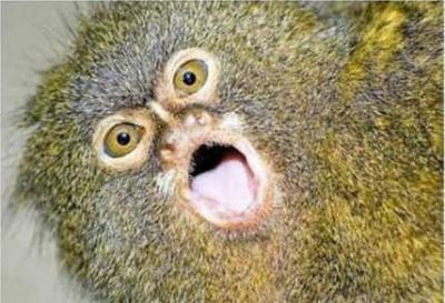 Нажмите на изображение для увеличения
Название: 31.jpg
Просмотров: 220
Размер:	33.3 Кб
ID:	8731