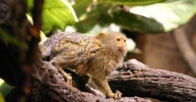 Нажмите на изображение для увеличения
Название: 32.jpg
Просмотров: 222
Размер:	20.1 Кб
ID:	8732