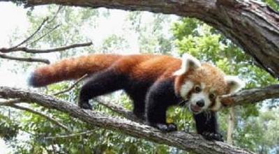 Нажмите на изображение для увеличения
Название: 33.jpg
Просмотров: 223
Размер:	29.2 Кб
ID:	8733