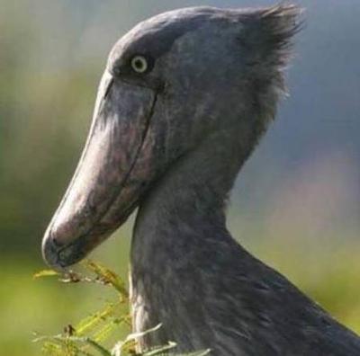 Нажмите на изображение для увеличения
Название: 34.jpg
Просмотров: 215
Размер:	22.2 Кб
ID:	8734