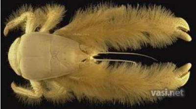 Нажмите на изображение для увеличения
Название: 35.jpg
Просмотров: 227
Размер:	18.4 Кб
ID:	8735