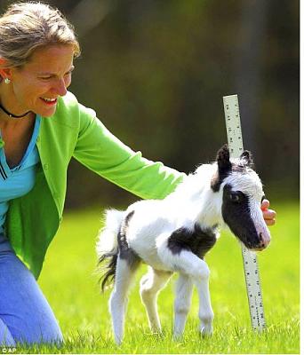 Нажмите на изображение для увеличения
Название: 36.jpg
Просмотров: 233
Размер:	44.9 Кб
ID:	8736