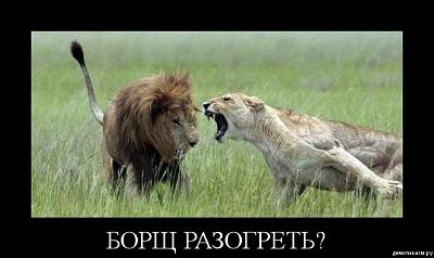 Нажмите на изображение для увеличения
Название: 7.jpg
Просмотров: 137
Размер:	154.1 Кб
ID:	8796