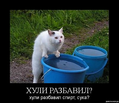 Нажмите на изображение для увеличения
Название: 10.jpg
Просмотров: 185
Размер:	186.1 Кб
ID:	8799