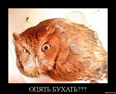 Нажмите на изображение для увеличения
Название: 17.jpg
Просмотров: 192
Размер:	212.3 Кб
ID:	8806