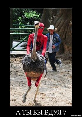 Нажмите на изображение для увеличения
Название: 29.jpg
Просмотров: 198
Размер:	226.7 Кб
ID:	8818