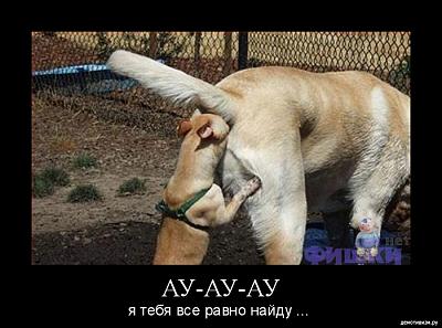 Нажмите на изображение для увеличения
Название: 30.jpg
Просмотров: 196
Размер:	200.3 Кб
ID:	8819