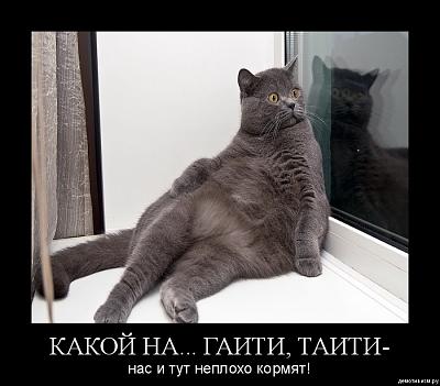 Нажмите на изображение для увеличения
Название: 37.jpg
Просмотров: 187
Размер:	215.3 Кб
ID:	8826