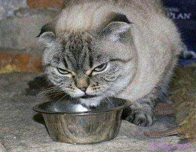 Нажмите на изображение для увеличения
Название: 0000.jpg
Просмотров: 161
Размер:	43.1 Кб
ID:	8933