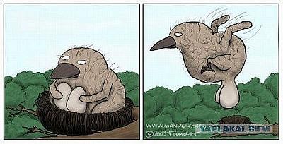 Нажмите на изображение для увеличения
Название: x_9303925b.jpg
Просмотров: 168
Размер:	55.4 Кб
ID:	8996