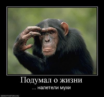 Нажмите на изображение для увеличения
Название: 1.jpg
Просмотров: 463
Размер:	67.5 Кб
ID:	9039