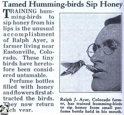 Нажмите на изображение для увеличения
Название: 0_421c7_c4bf5ff1_XL.jpg
Просмотров: 204
Размер:	92.1 Кб
ID:	9069