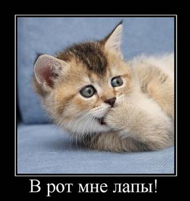 Нажмите на изображение для увеличения
Название: 25.jpg
Просмотров: 122
Размер:	38.0 Кб
ID:	9161