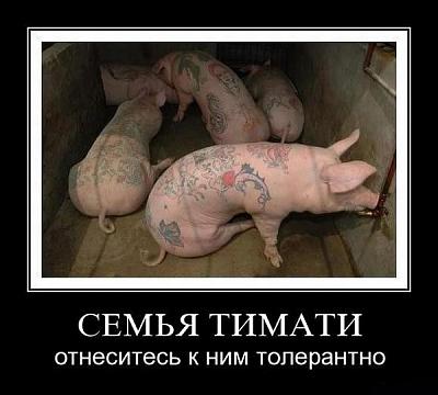 Нажмите на изображение для увеличения
Название: 26.jpg
Просмотров: 163
Размер:	56.9 Кб
ID:	9162