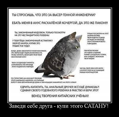 Нажмите на изображение для увеличения
Название: 35.jpg
Просмотров: 239
Размер:	96.6 Кб
ID:	9171