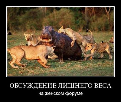 Нажмите на изображение для увеличения
Название: 36.jpg
Просмотров: 180
Размер:	85.9 Кб
ID:	9172