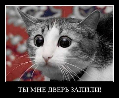 Нажмите на изображение для увеличения
Название: 44.jpg
Просмотров: 182
Размер:	75.7 Кб
ID:	9181