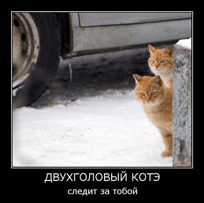 Нажмите на изображение для увеличения
Название: 19.jpg
Просмотров: 151
Размер:	37.8 Кб
ID:	9520