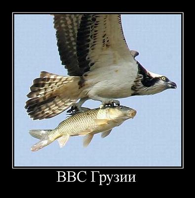 Нажмите на изображение для увеличения
Название: 37.jpg
Просмотров: 165
Размер:	69.7 Кб
ID:	9538