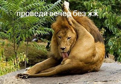 Нажмите на изображение для увеличения
Название: 64.jpg
Просмотров: 156
Размер:	230.3 Кб
ID:	9565