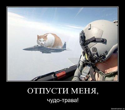 Нажмите на изображение для увеличения
Название: 2wezfj8ej7t9.jpg
Просмотров: 112
Размер:	58.4 Кб
ID:	9641