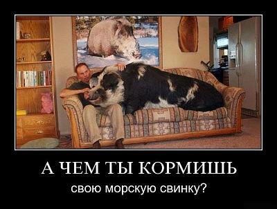 Нажмите на изображение для увеличения
Название: 5.jpg
Просмотров: 189
Размер:	74.9 Кб
ID:	9739