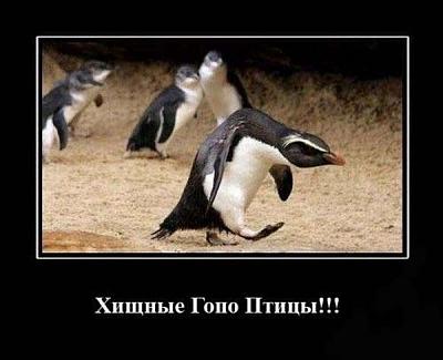 Нажмите на изображение для увеличения
Название: 22.jpg
Просмотров: 205
Размер:	49.3 Кб
ID:	9756