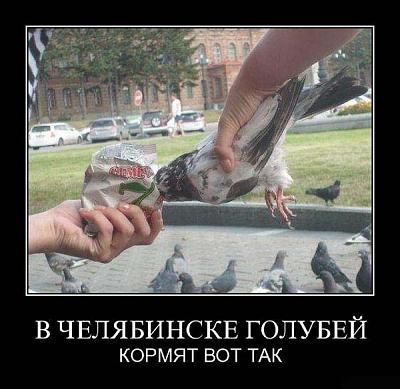 Нажмите на изображение для увеличения
Название: 31.jpg
Просмотров: 196
Размер:	75.4 Кб
ID:	9765
