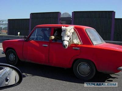 Нажмите на изображение для увеличения
Название: 68.jpg
Просмотров: 200
Размер:	42.2 Кб
ID:	9801