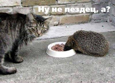 Название: 87.jpg
Просмотров: 804

Размер: 27.9 Кб