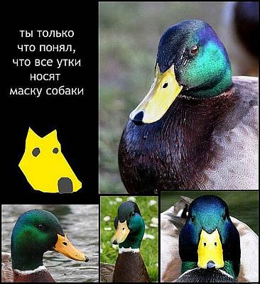 Нажмите на изображение для увеличения
Название: 1290866903306.jpg
Просмотров: 227
Размер:	82.4 Кб
ID:	9982